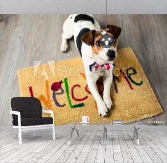 Picture of Cute dog posing on the carpet